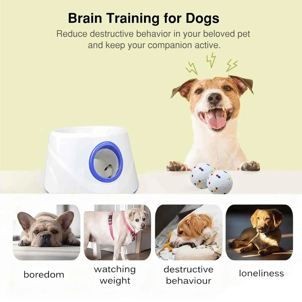 DDQ Automatic Dog Ball Launcher 3 Distance 20-45FT 6 Balls Small Medium Dogs Toy
